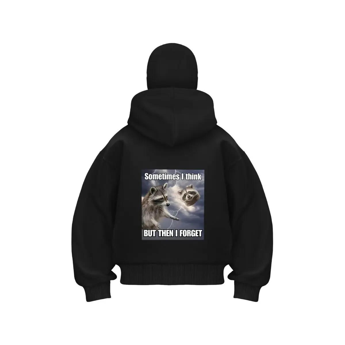 

Мем с изображением енота «Sometimes I Think But Then I Forget» Юмор Мужская Балаклава с двойным капюшоном на молнии Зимняя теплая толстовка