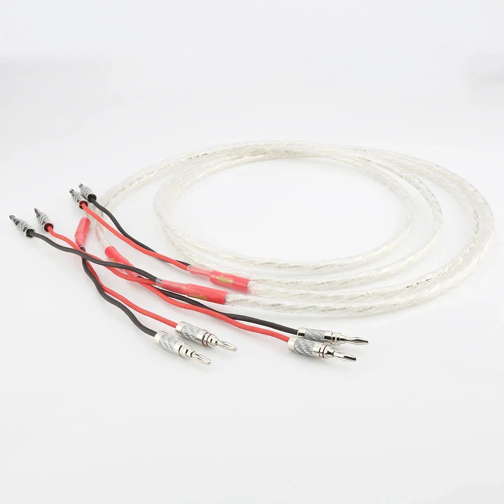 AS220 One Pair HIFI Silver-plated Speaker Cable Hi-end 6N OCC Speaker Wire for Loudspeaker Audiocrast