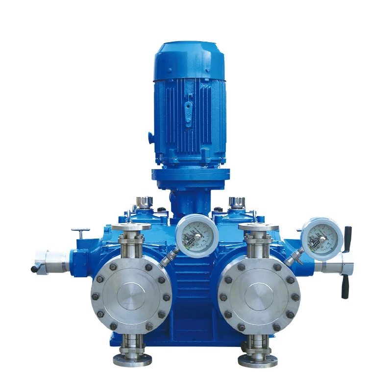 Pump socket Electric Metering Pump, Stainless Steel Mechanical Diaphragm Dosing Pump for Chemical Liquid, Industrial