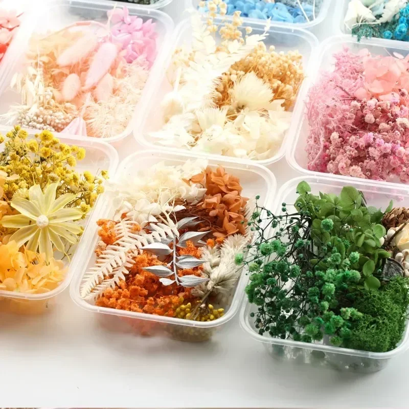 1 Box  Artificial Plants Natural Real Dried Flowers  for Candles Mold Epoxy Resin DIY Making Decoration Home Accessories Crafts