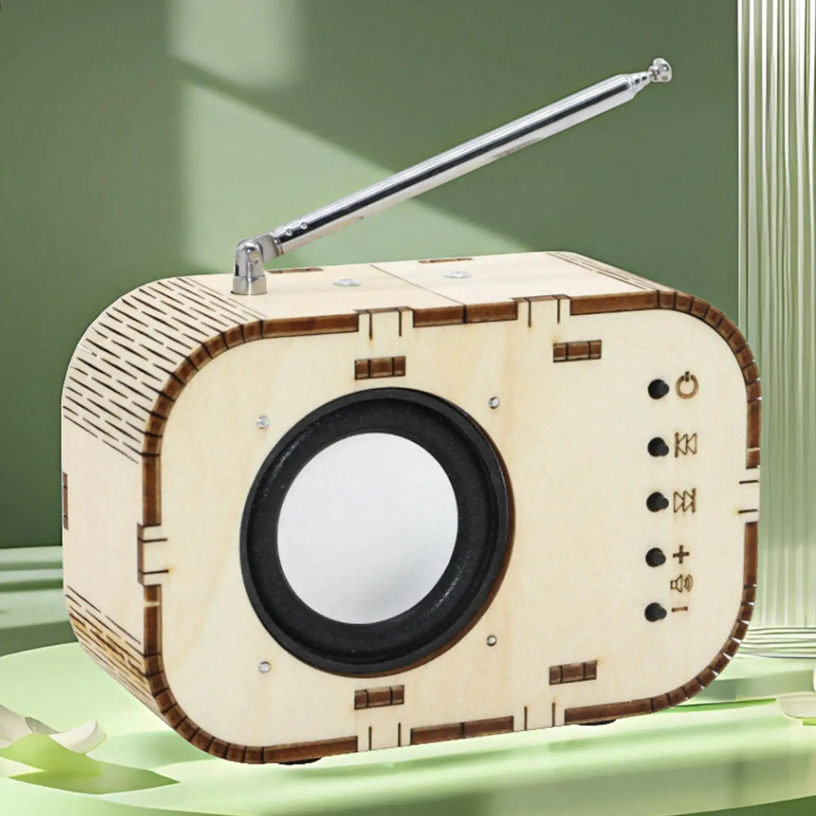 DIY Radio Model Teaching Aids Wood Science Project Model for Birthday Gift