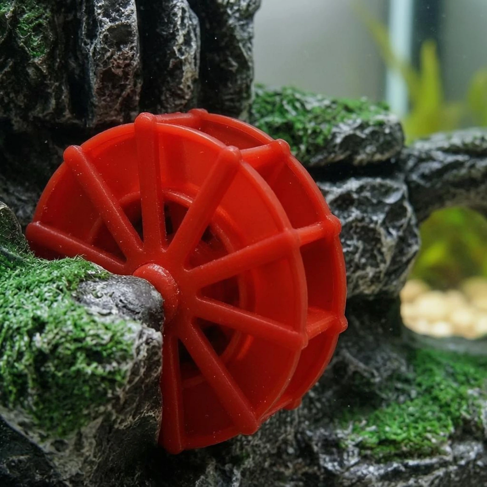 Aquarium Fish Low Maintenance - Adorno de Rueda de Agua para