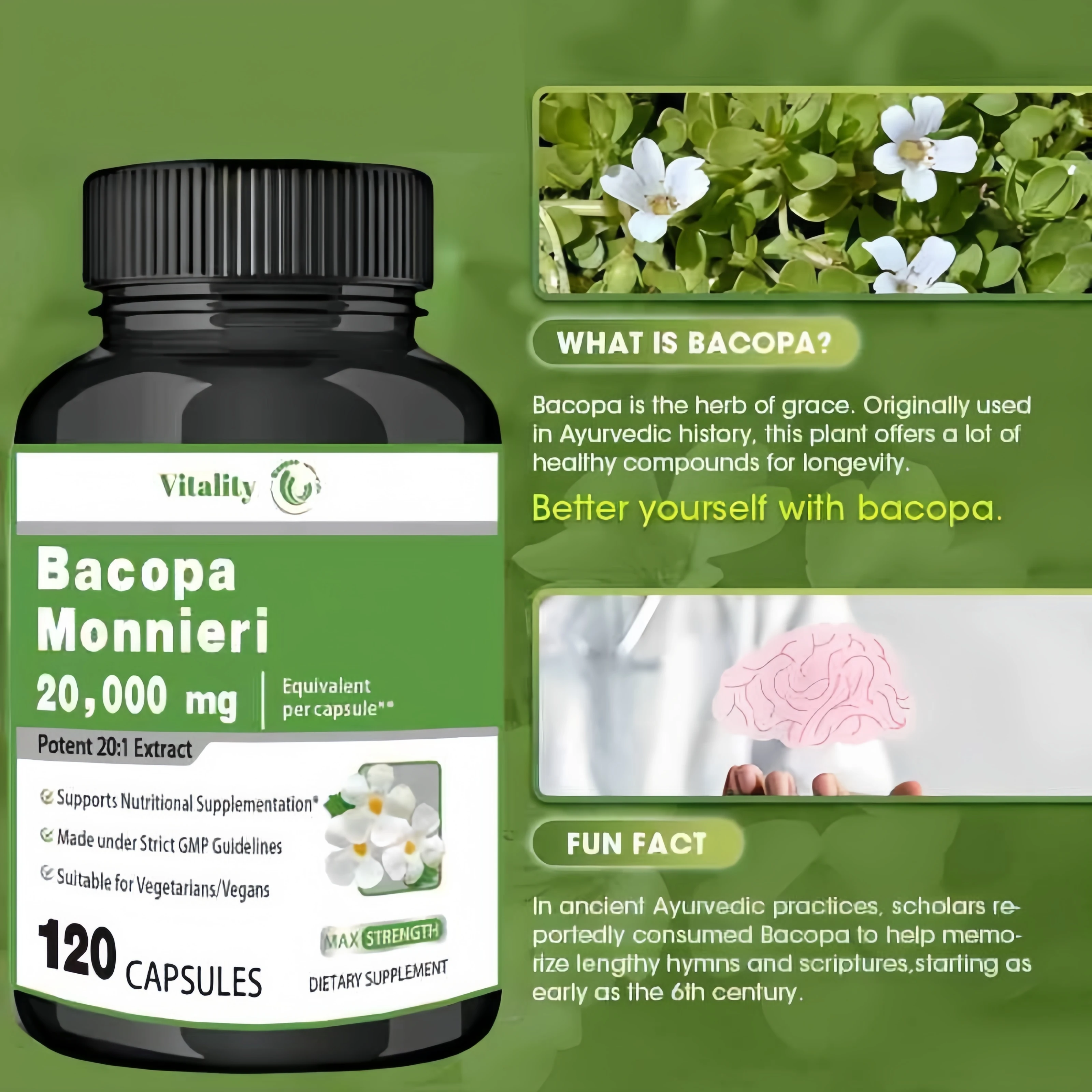 Vitality Bacopa Monnieri Capsule Boosts Brain Health Supports Performance Cognition and Focus Enhances Energy and Stamina