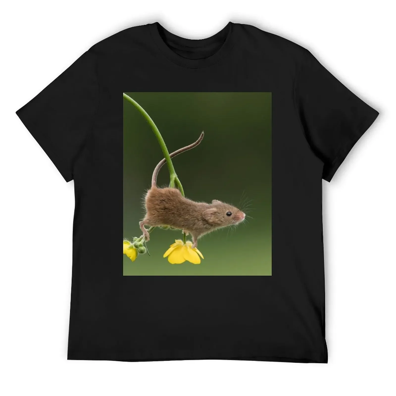 Buttercup Acrobat mouse T-Shirt street wear vintage graphic tee anime t shirts for a boy mens t shirts top quality