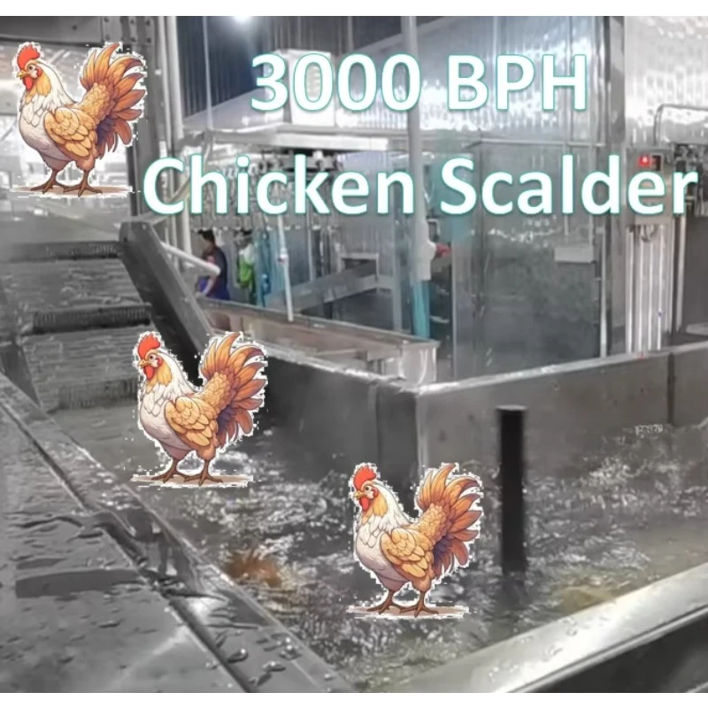 Heavy Duty SUS304 Automatic Poultry Plucker Machine 3000BPH Continuous Inline Poultry Defeathering System for Abattoir