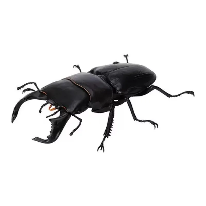 Bandai Biology Illustrated Guide Insects Series Beetle Different Style Models Collection Pendant Figure Model Toys