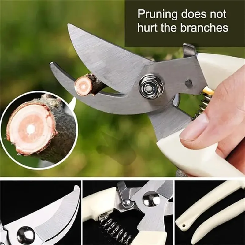 Stainless Steel Pruning Scisso - Gardening Tools To Cut Branches review and price