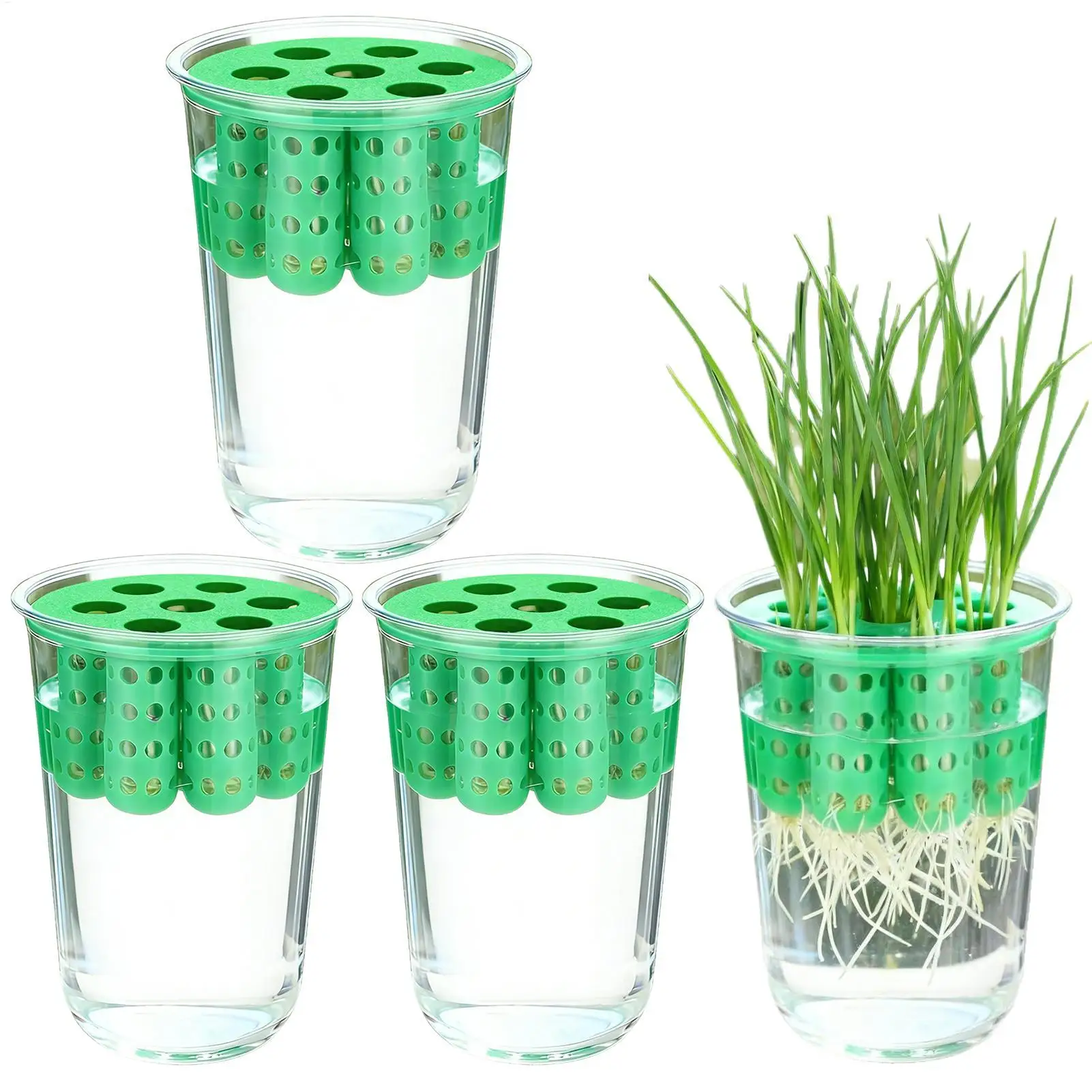 Green Onion Regeneration Planter Pot Green Onion Planter Clear Hydroponic Scallion Grower Green Onion Seedling Sprouting Kit