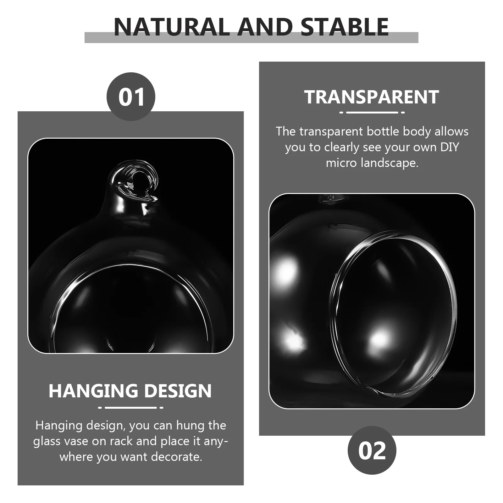 

6 Pcs Hydroponic Plant Container Decorative Containers Hanging Holders Vases Pot