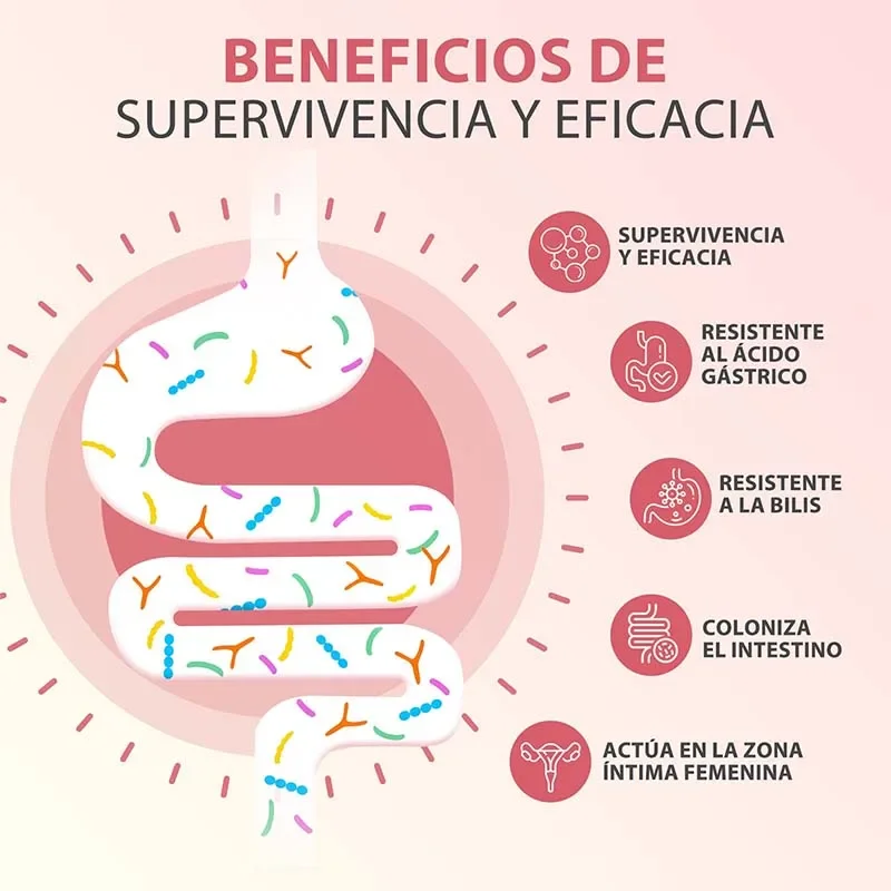 كبسولات PROBIOTICOS MUJER - تعمل على تجديد نباتات الأمعاء، وتحسن الهضم، وتساعد في صحة المسالك البولية، وتوازن PH