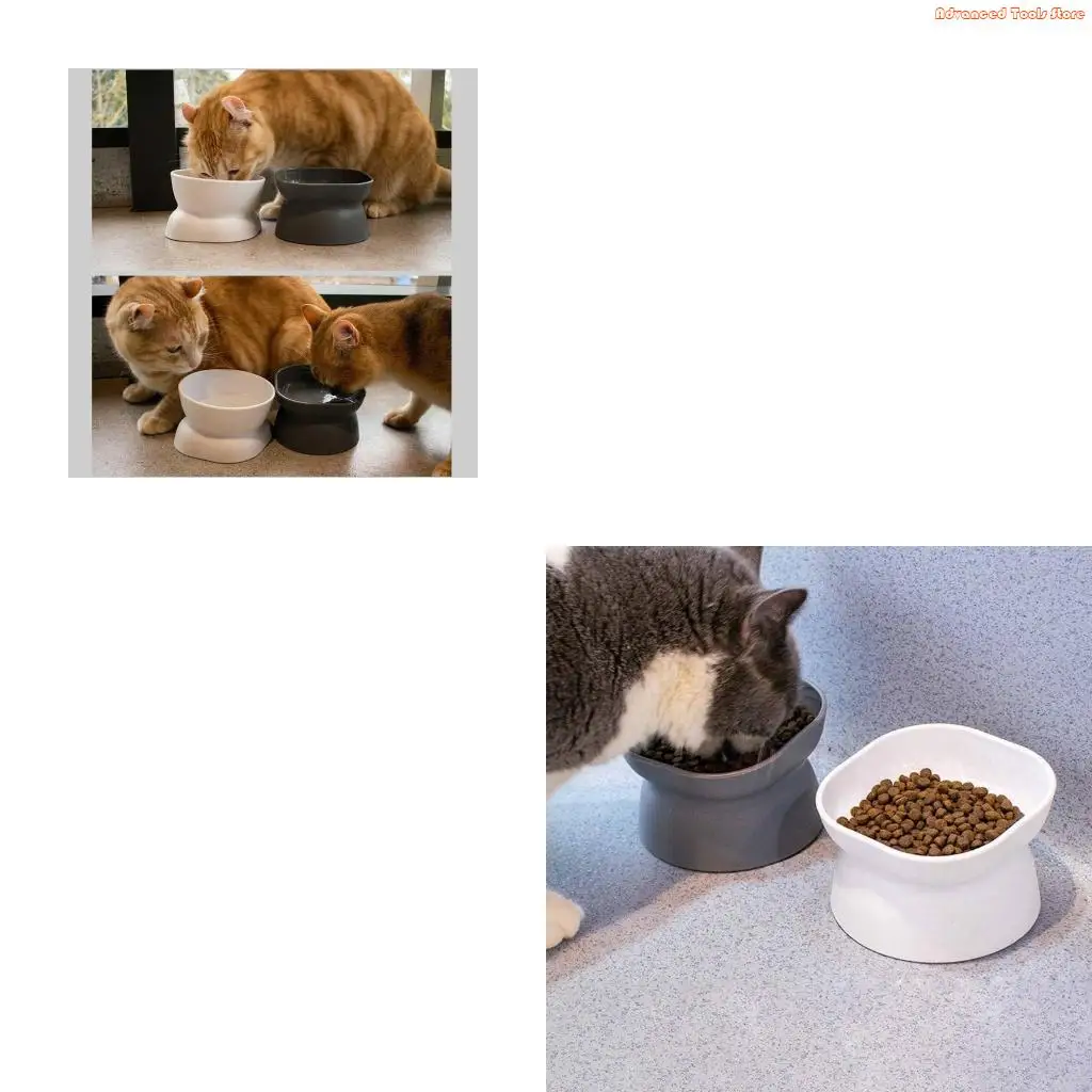 10° Tilted Raised Cats / Water Bowls Nonslip No Spill Pet Feeding Bowls W91B