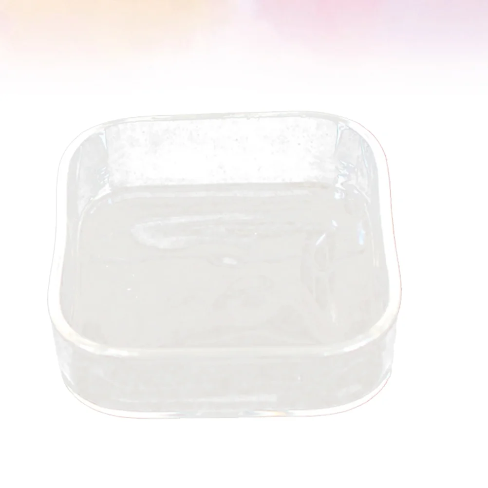 

Round Thicken Glass Bowl Reptile Small Animal Feeder Transparent Lizard Tortoise Snail Supplies Ashtray Pineapple Planter