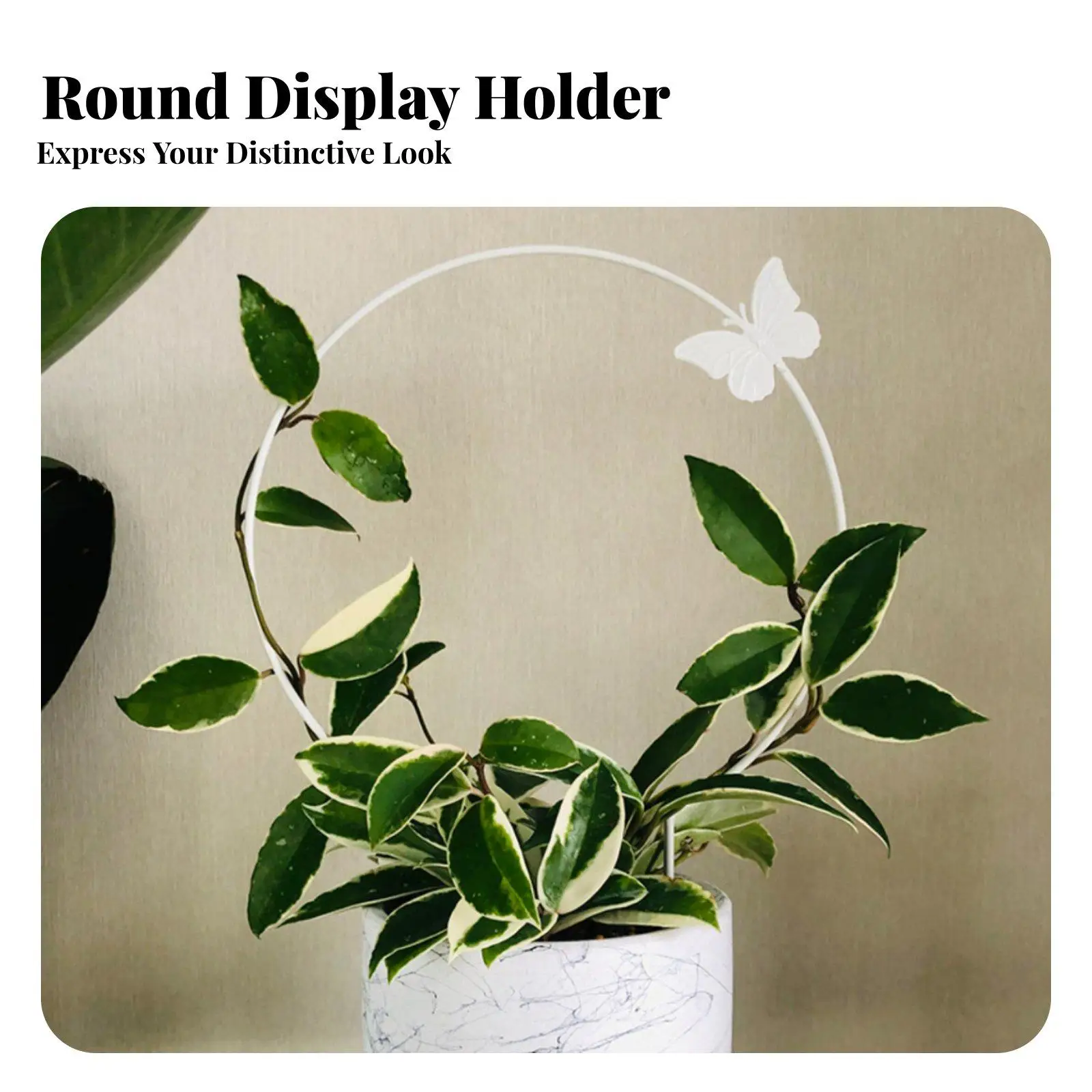 Hoop Plant Stake trelliss Climbing Plants climbing plant Holder sturdy Gardening Supply for home dwellers, Home Decorators,
