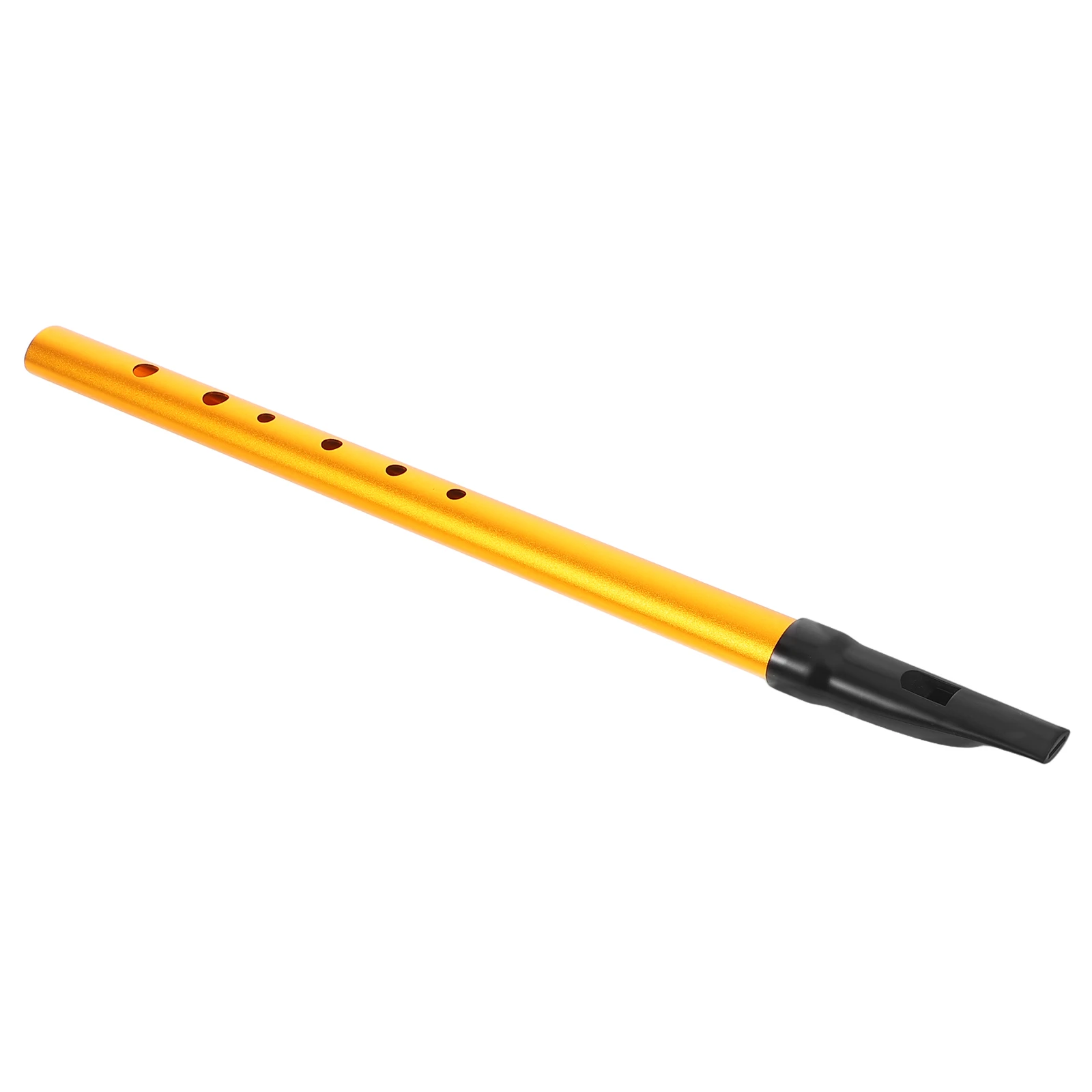 

Beginner Recorder Black Whistle with Lanyard Clarke Tinwhistle 6-hole Irish Key
