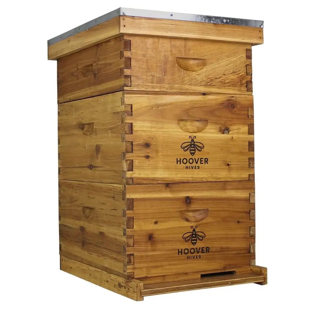 Free ShippingHives: The Original Swax Coated Hive Kit. Includes 2 Deep & 1 Medium Boxes With 10 Wooden Fes & Heavy Wax Coated