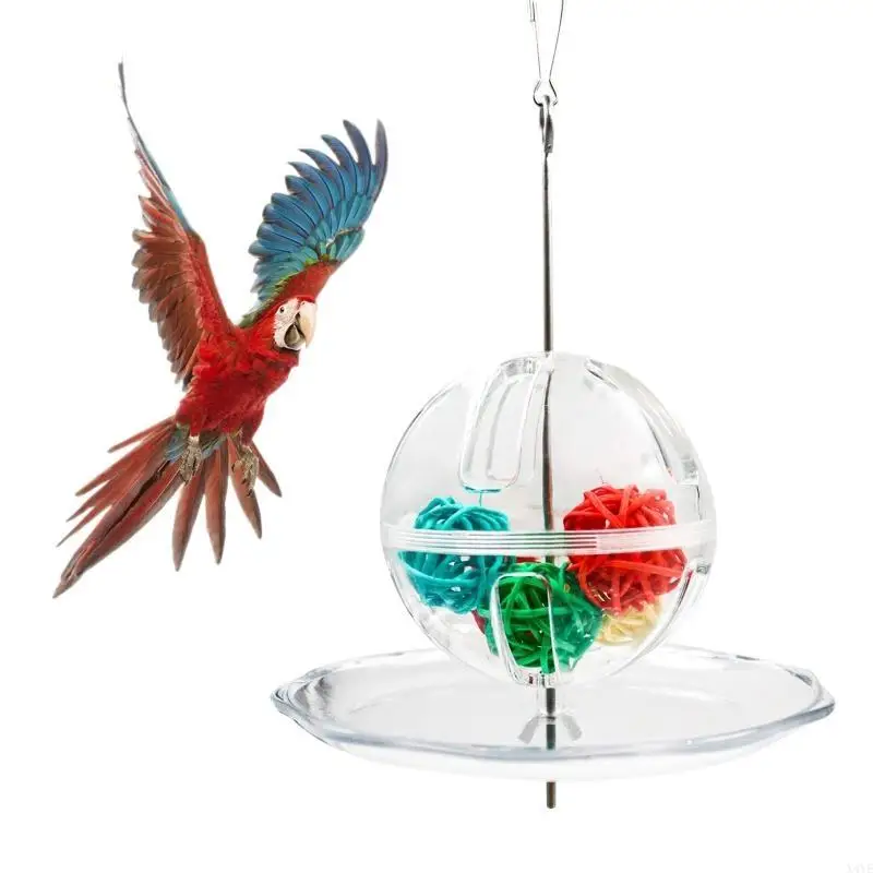 

X4YE Bird Forage Feeder Ball Hanging Treat Foraging Toy Clear Acrylic Holder