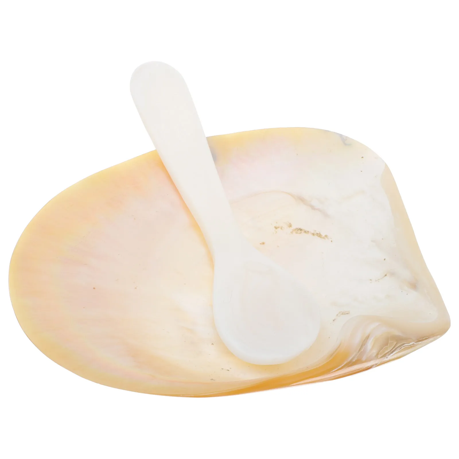 Natural Shell Caviar Dish Set – Elegant Glossy Sea Shell Serving Tray for Fish Roe, Sauce & Snacks