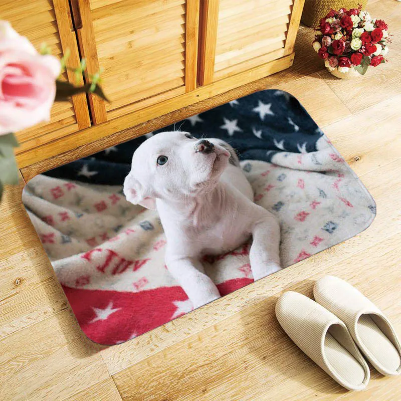 Cute Dog Bulldog Door Mat Entrance  Indoor and Outdoor Non-slip  Bathroom Kitchen Room Home Decor  40x60cm