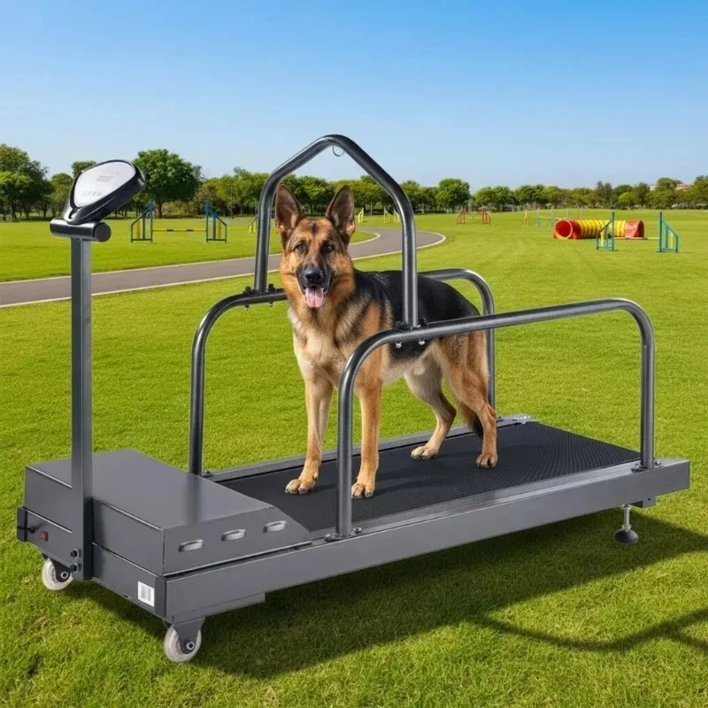 

Electric Pet Dog Walker Treadmill Powered Exercise Animal Pet Treadmill for Cat Dog Treadmill for Dogs