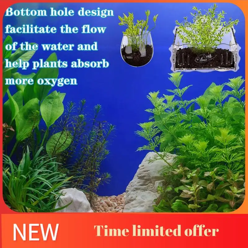 

Crystal Glass Plant Cups Aquatic Plant Cups With Suction Enlarged Acrylic Aquatic Plant Cups Plant