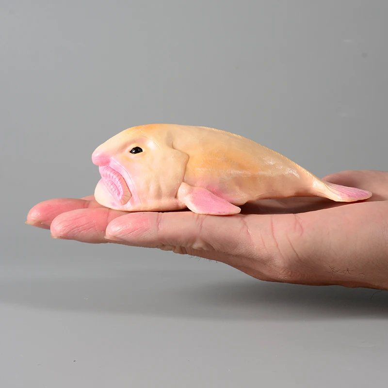 โมเดลปลาบล็อบฟิชจากทะเลน้ำลึกของออสเตรเลีย (Psychrolutes marcisus) ของเล่นแอคชั่นฟิกเกอร์พีวีซีสำหรับเด็ก ของเล่นเสริมพัฒนาการ รูปแบบสัตว์ทะเล ของขวัญ