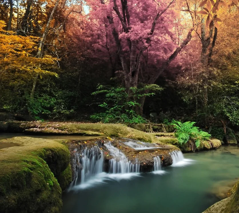 

9309E 1:18 Высокоскоростной 4WD радиоуправляемый автомобиль, 2,4G моделирование внедорожника, вездеход, гусеничный автомобиль с дистанционным управлением для взрослых и детей