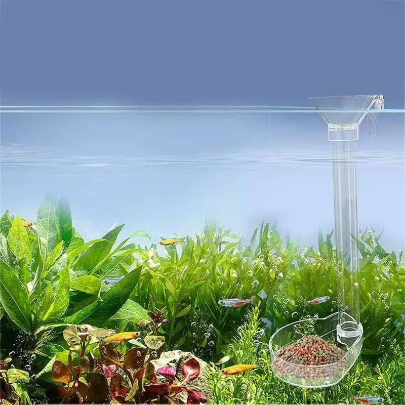 2025 Новая рыбака для кормления