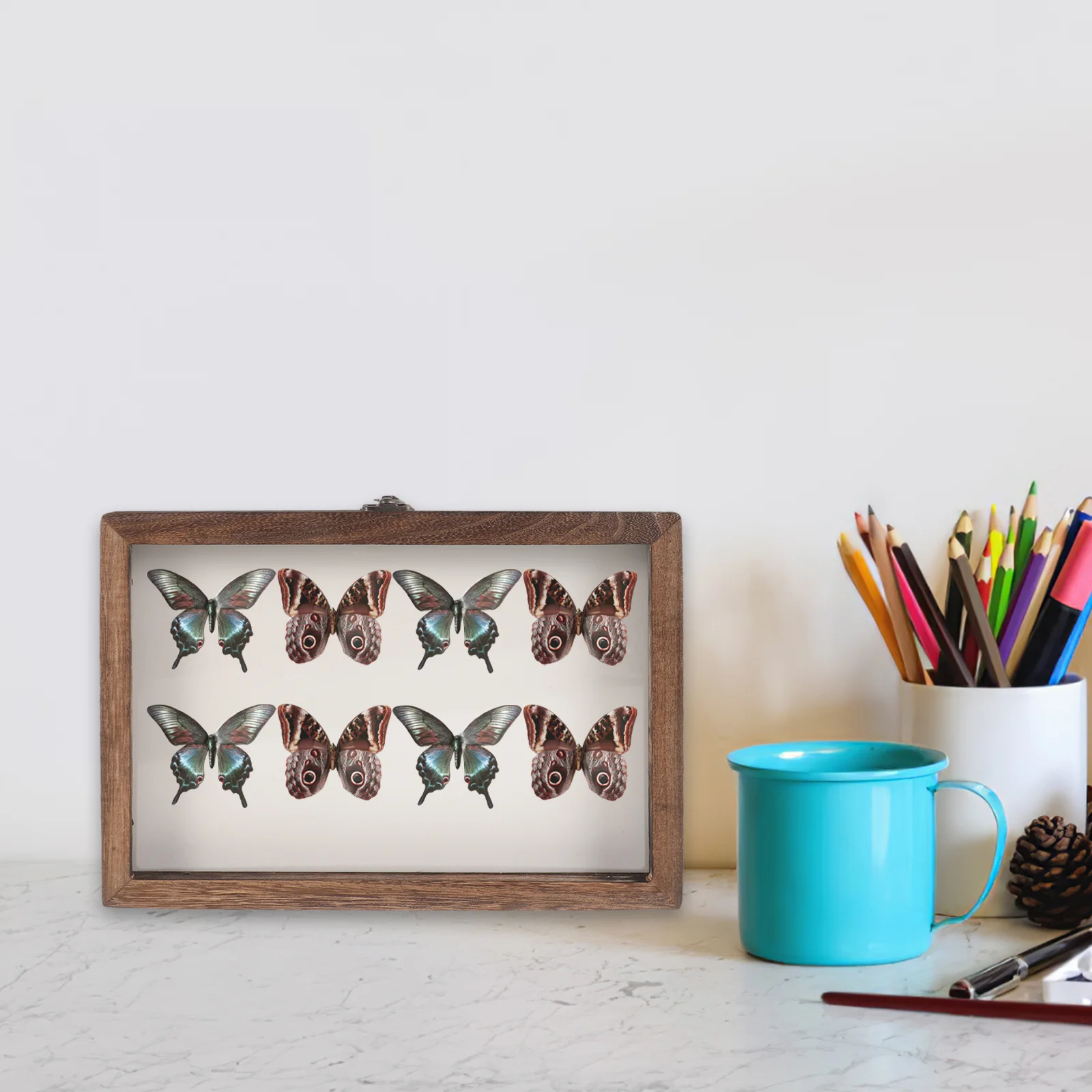 Butterfly Specimen Display Box Butterflies Case Dried Flowers Insect Holder Photo Frame