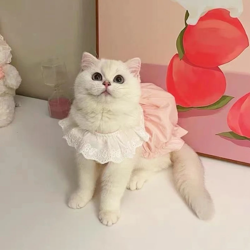 Cat Clothes Cute Princess Summer New 2023 Thin Hair Prevention Sweet Kitten and Puppy Solid Color Lace Pleated Casual - AliExpress 15 Cat Clothes Cute Princess Summer New 2023 Thin Hair Prevention Sweet Kitten and Puppy Solid Color Lace Pleated Casual - AliExpress 15