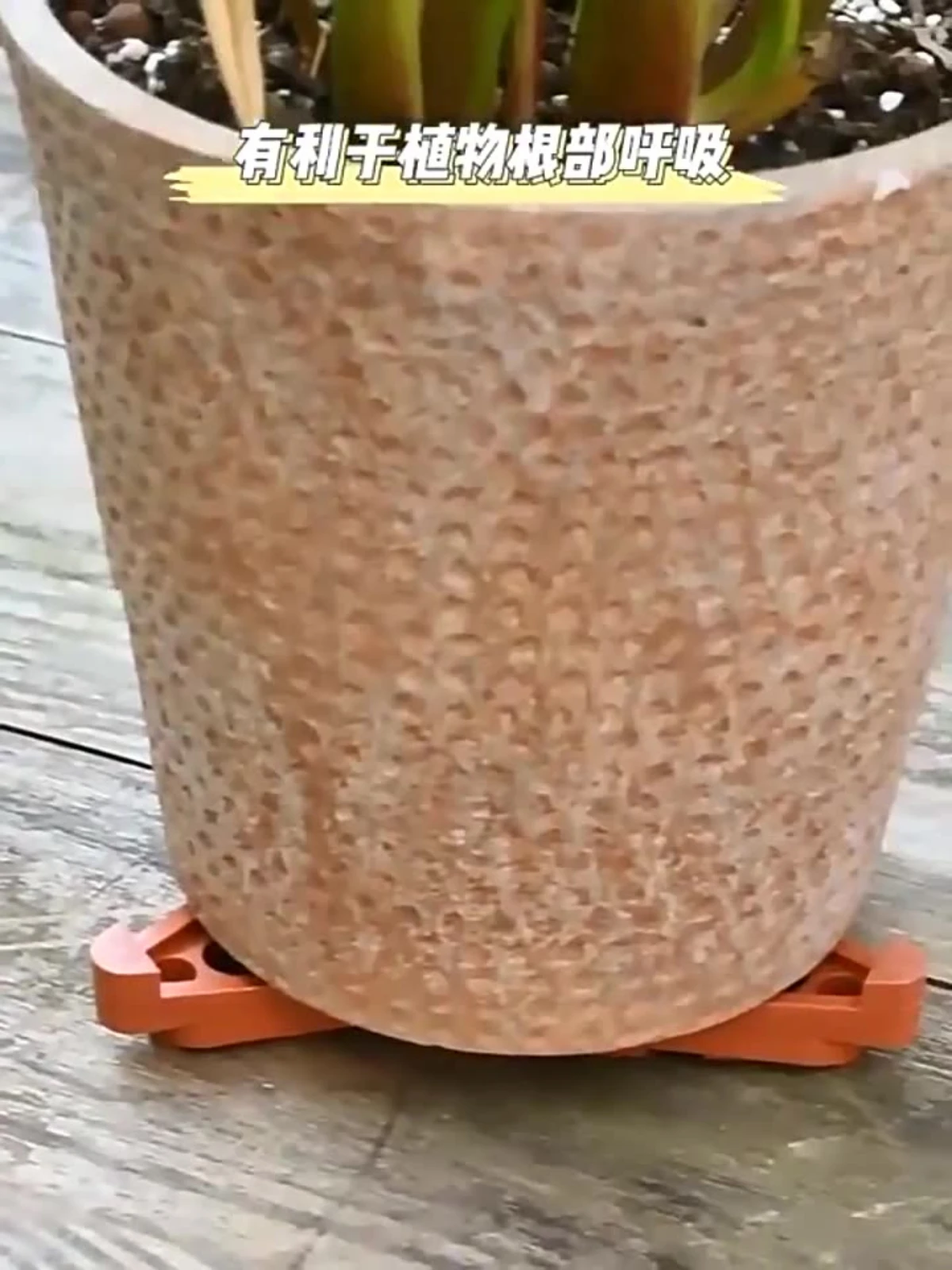 The Flowerpot Base …