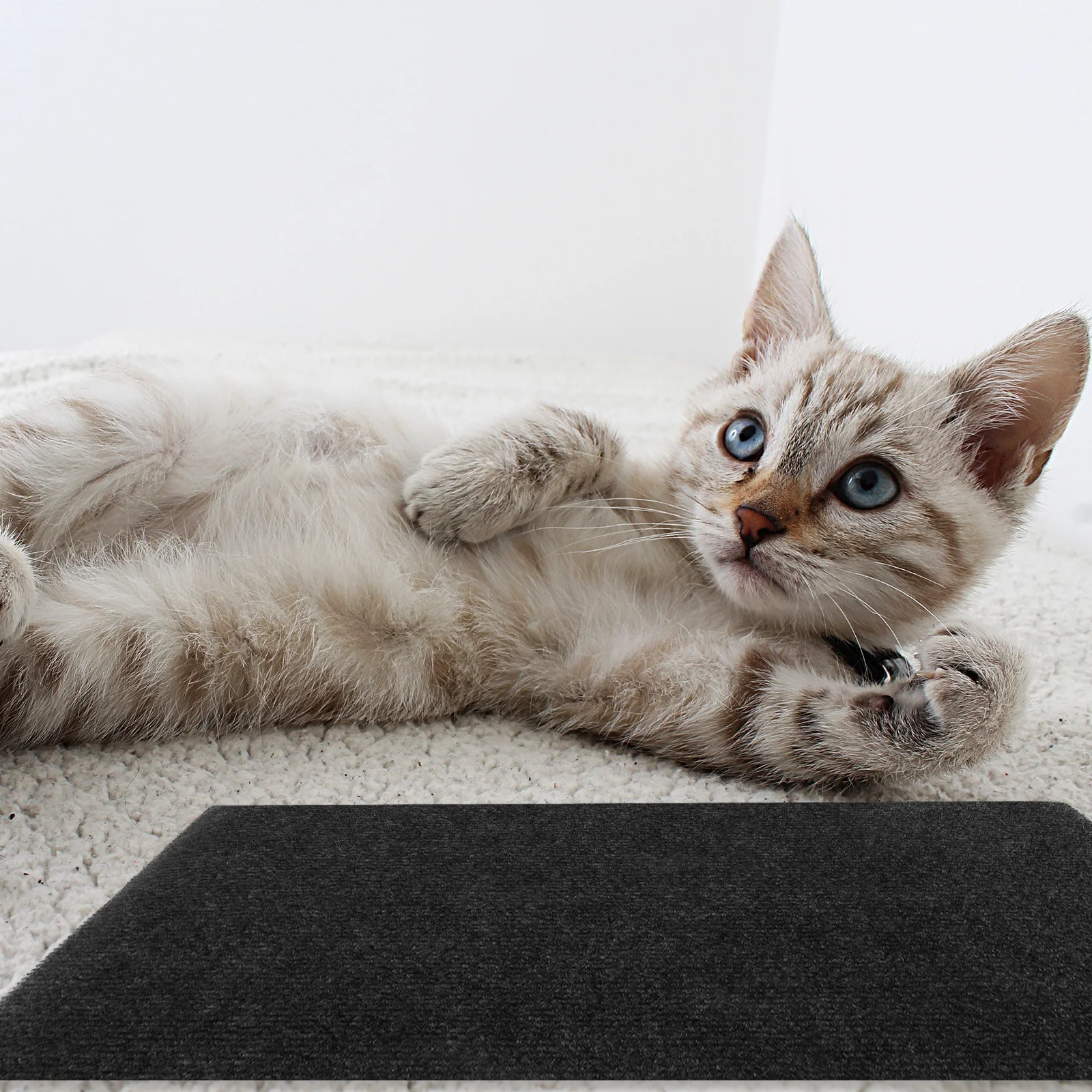 

Cat Scratching Post Covered Rug Adhesive Cat Tree Furniture Protector Scratch Mat Durable Carpet Kitten Indoor Scratcher