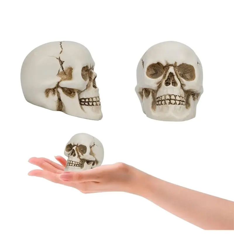 Resin Skull For Desktop, Mini Skull Model 2 Pcs/Set, Skull Statue, Human Skull Head Bone Model For Home Decoration