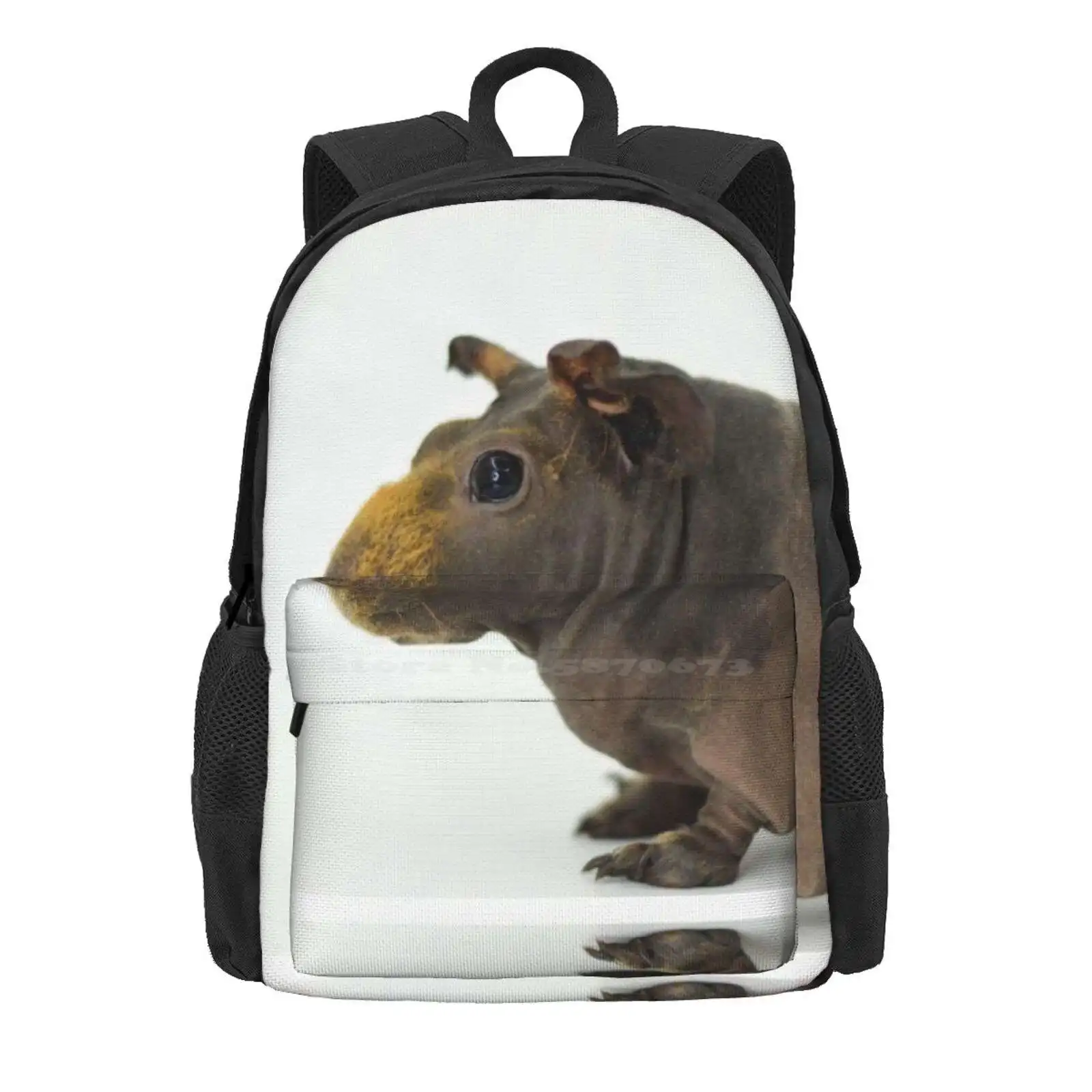 Skinny Pig Hairless Guinea Pig Hot Sale Schoolbag Backpack Fashion Bags Skinny Pig Guinea Pig