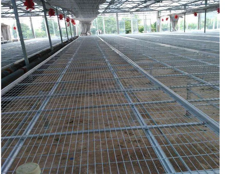 Automatic Intelligent Seedling Cultivation Glass Greenhouse Tidal Seeding Bed