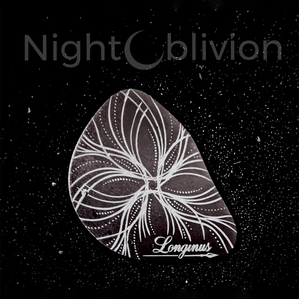 Night Oblivion Longinus 12BA バランスドアーマチュアドライバー 2