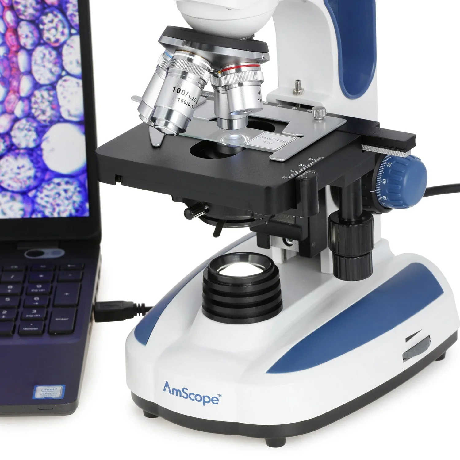 AmScope 40X-2500X Advanced Student and Professional Compound Microscope