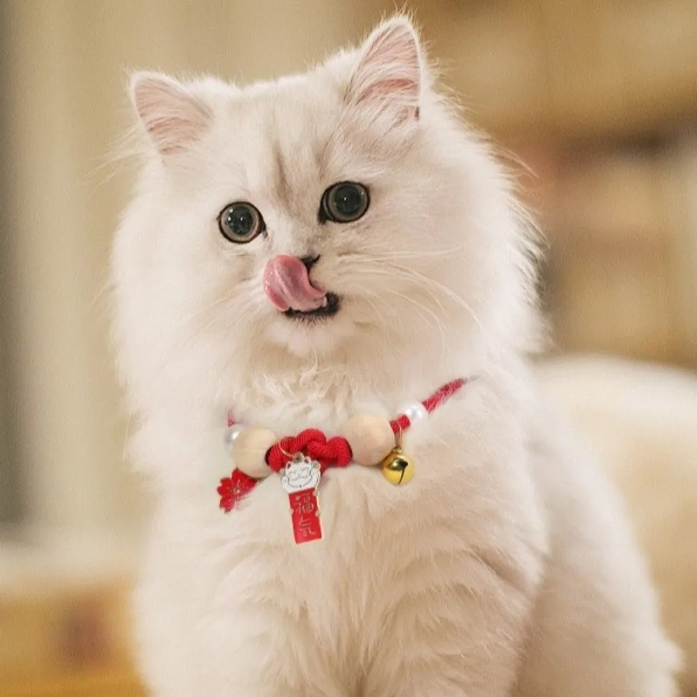 Fashion Adjustable Cat Flea Collar Handmade with Bells Antiflea Tick Collar Ethnic Design Pet Puppy Jewelry Outdoor Use
