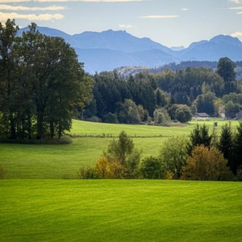 

Универсальный металлический хвостовой плавник 1/10 для TT02 TT01 XV01 HSP 94123 94122 FWO6 LC PTG PTG2 с плоским ходом натяжения электрической комнате для дрейфа
