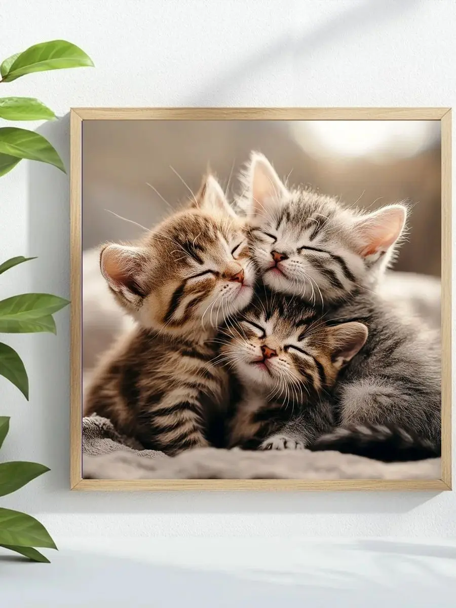 Drei Katzen 40X40CM/15,74 Zoll Kreuzstich-Set DIY 11CT/14CT Stickerei Öko-Baumwollfaden Kreuzstich-Sets Bastelzubehör – Detail 1