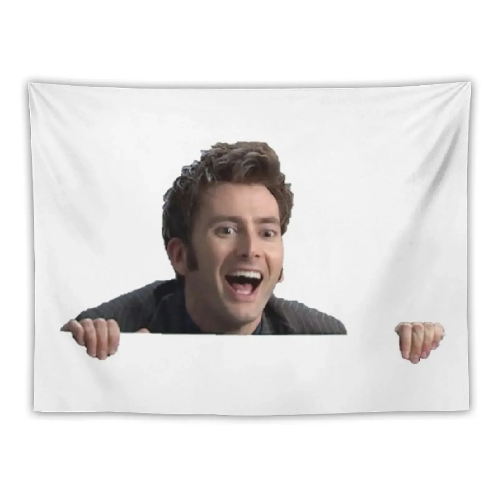 

David Tennant meme Tapestry Decoration For Home Aesthetic Room Decoration Tapestry