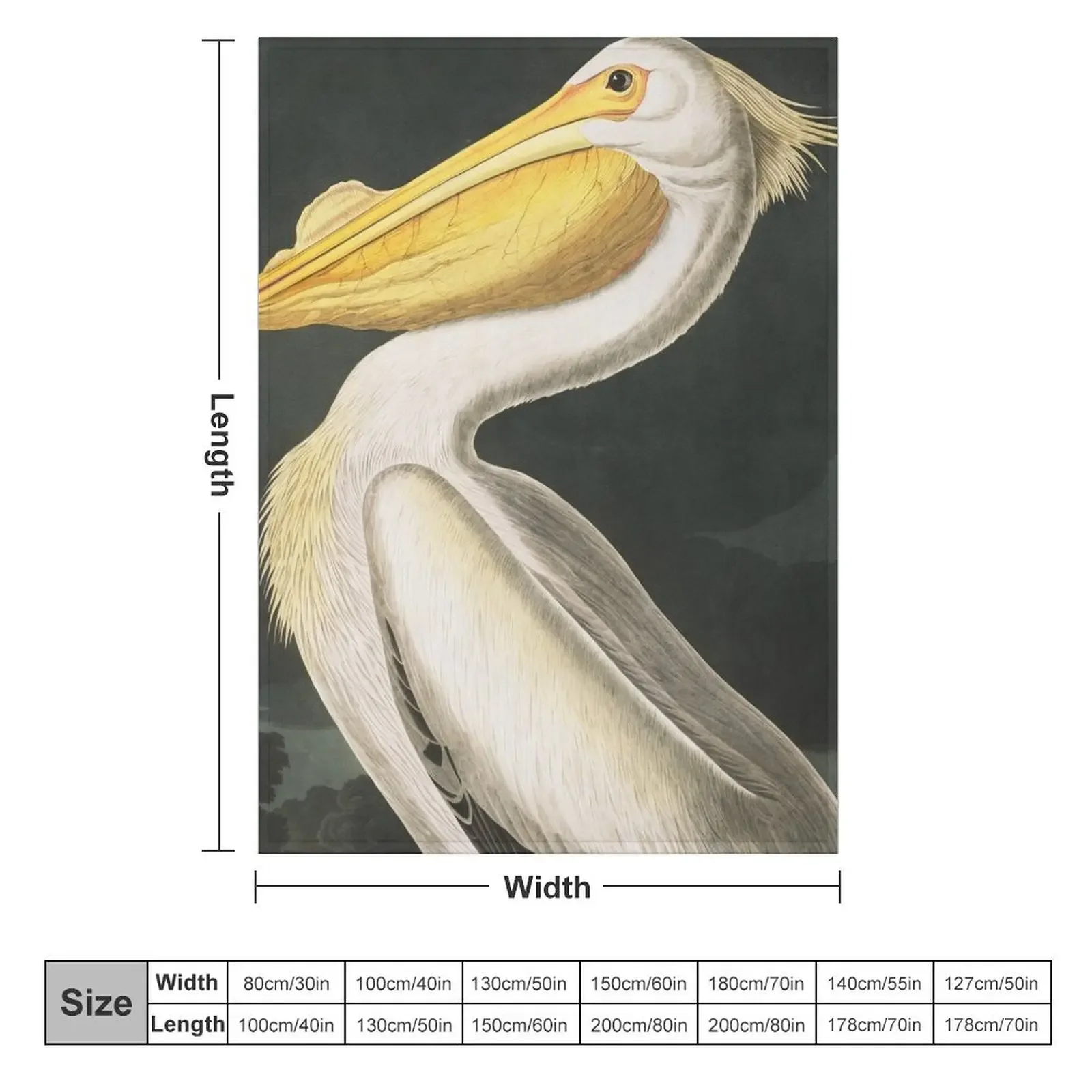 American White Pelican - John James Audubon Throw Blanket Decorative Sofas Summer Beddings Blankets