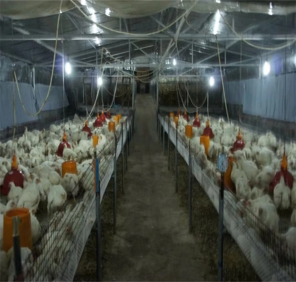 Kipapparatuur Dierenvoer Gevogelte en visvoer Pelletmachine