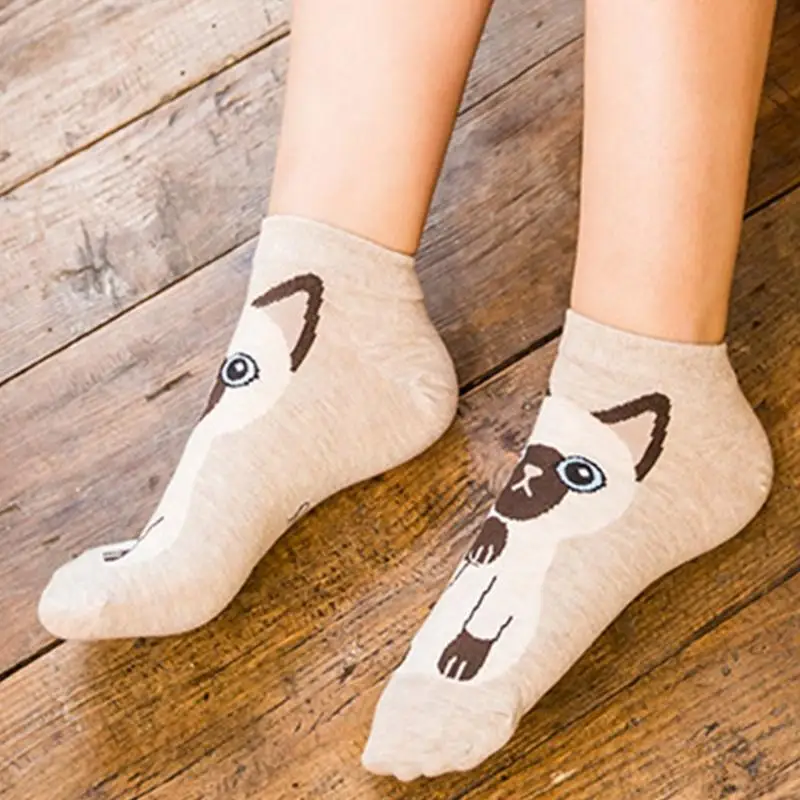 M6CD نساء القطط طباعة الجوارب الكاحل 5 أزواج الأصفاد المرنة مزيج القطن #2