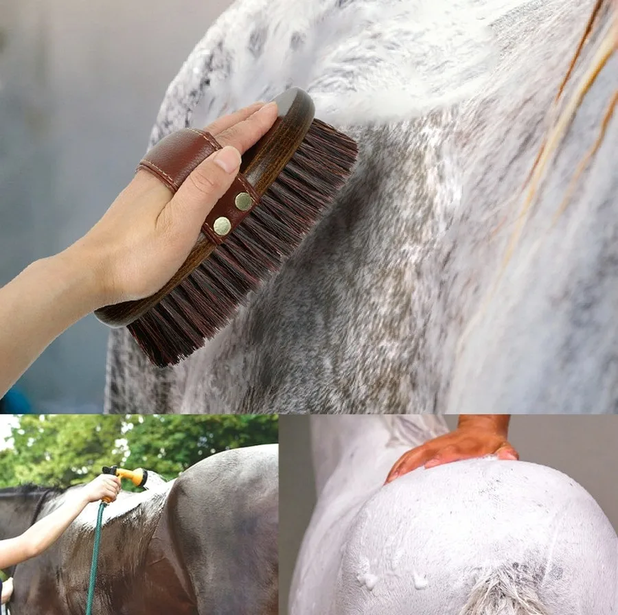 Factory Wholesale Custom Logo Horse Care Products Wooden Horse Body Brush Horse Grooming Brush
