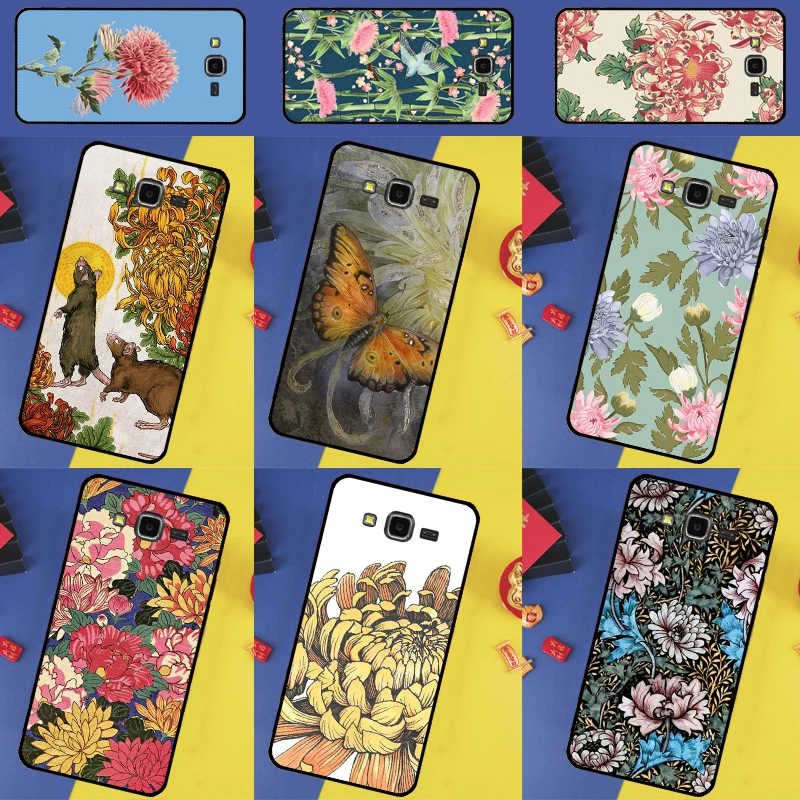 Chrysanthemum For S…