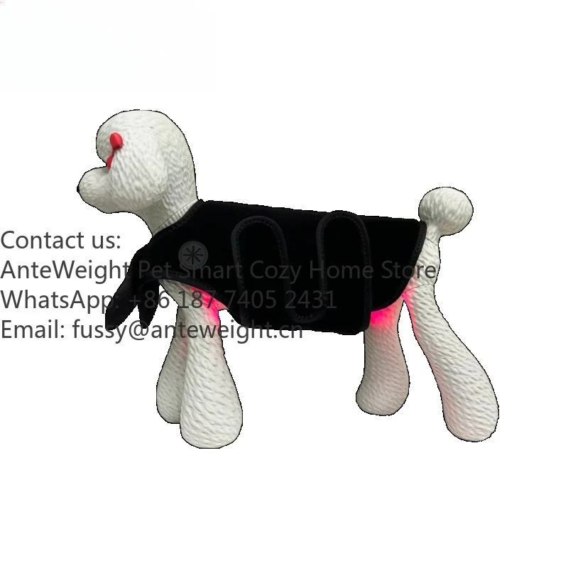 

Older Dog and Cat Light Red Light Therapy Cloth for Wholebody Therapy Pain Relief Skin Treatment Veterinary Equipment