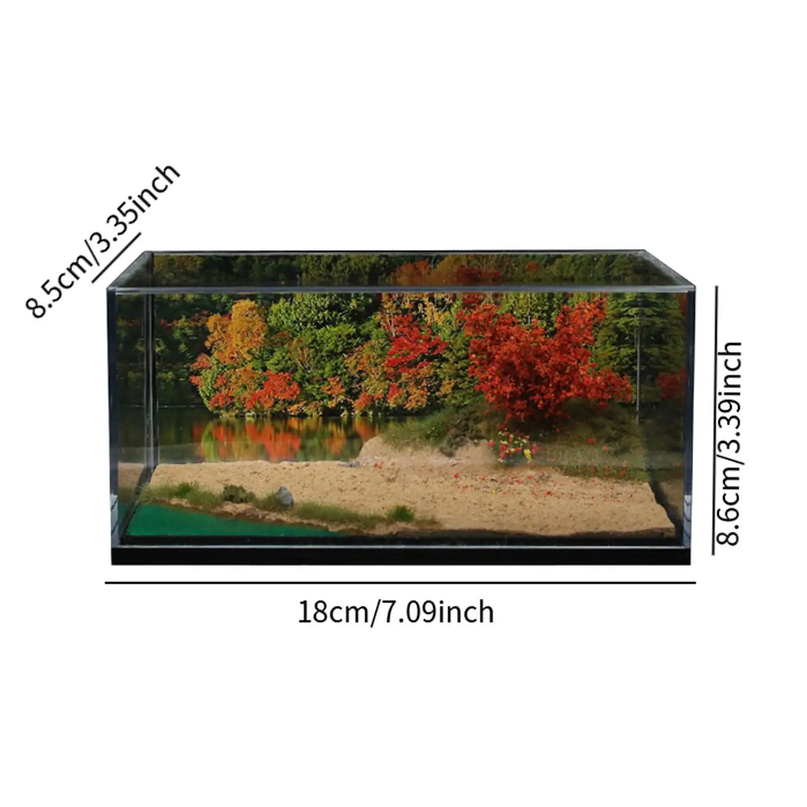 1:64 with Acrylic Cover Model Car Scene Diorama for Car Model Tabletop Decor