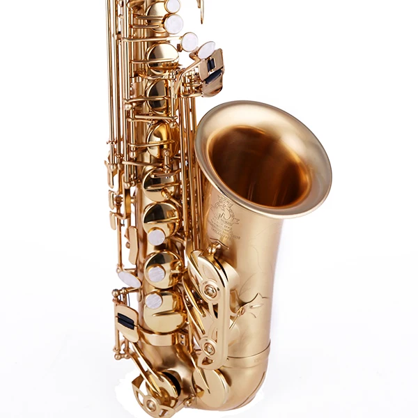 Professional alto saxophone good quality Brass Body Tone EB Gold Lacquer