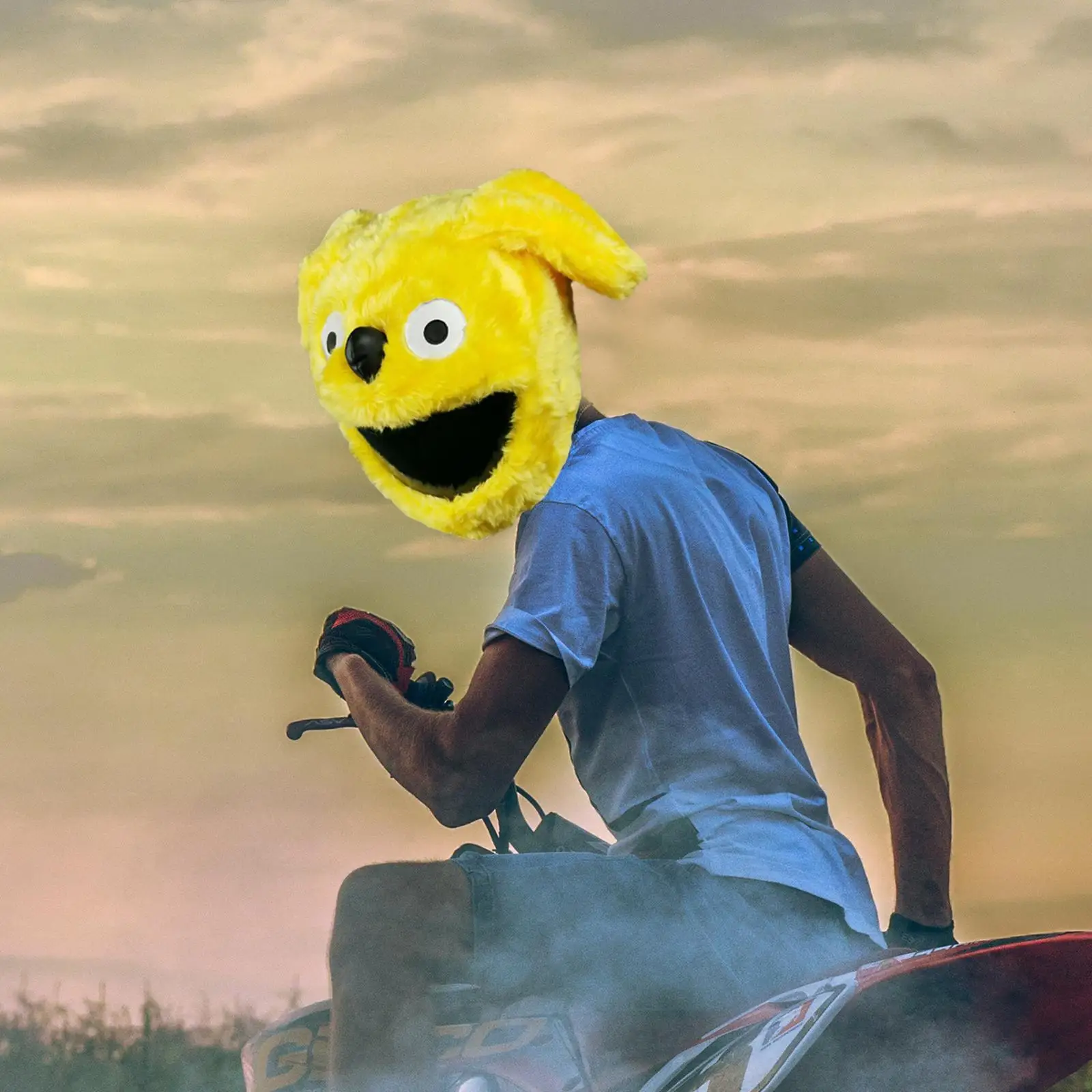 

Dog Shaped Helmet Cover Eye Catching Style Outdoor Gifts Motorbike Cartoon