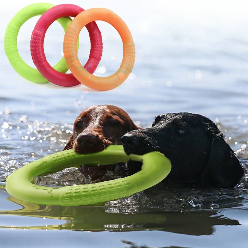 Pet hoop dog foam bite resistant training dedicated outdoor solid circle toy Interactive Training Ring Puller Flying Disk